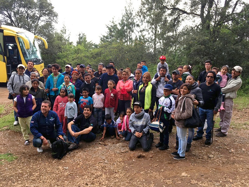 Envirofit employees planted over 300 trees